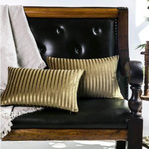 FWP  Elegant Life Home Velvet Decorative Throw Pillow Covers/Slips set of 2